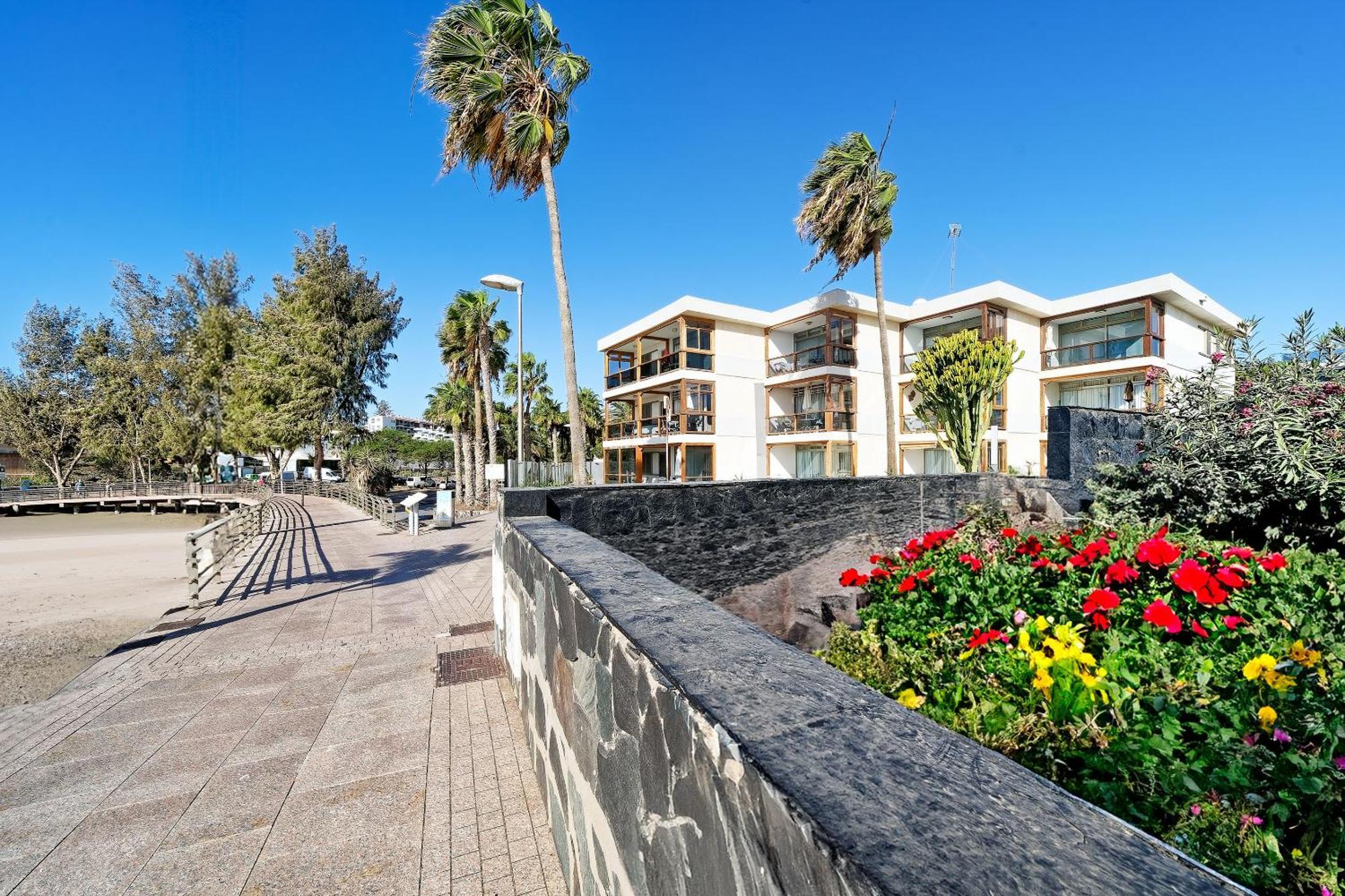 Apartamentos Los Papagayos San Agustín Εξωτερικό φωτογραφία